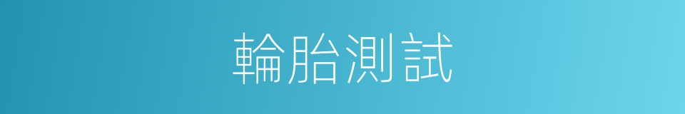 輪胎測試的同義詞