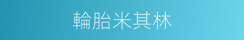 輪胎米其林的同義詞