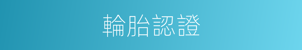 輪胎認證的同義詞