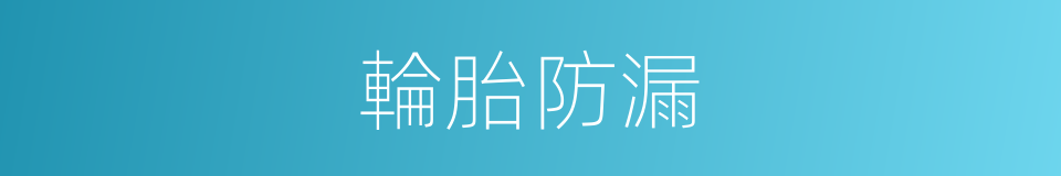 輪胎防漏的同義詞