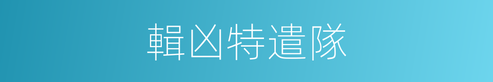 輯凶特遣隊的同義詞
