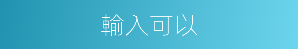 輸入可以的意思