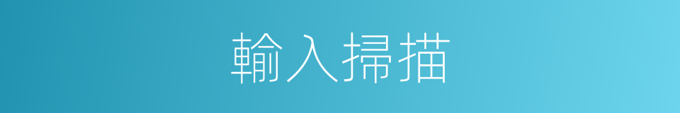 輸入掃描的同義詞