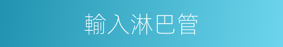 輸入淋巴管的同義詞