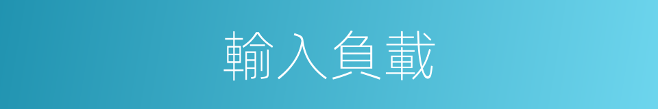 輸入負載的同義詞