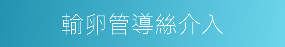 輸卵管導絲介入的同義詞