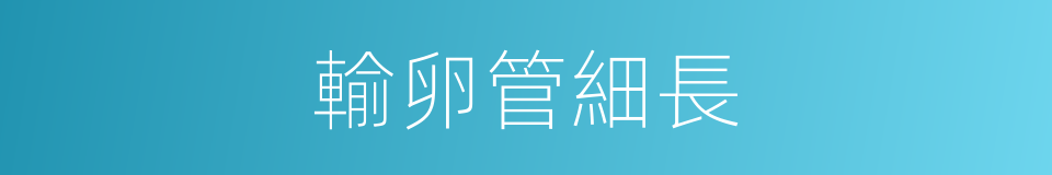 輸卵管細長的同義詞