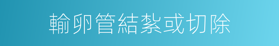 輸卵管結紮或切除的同義詞