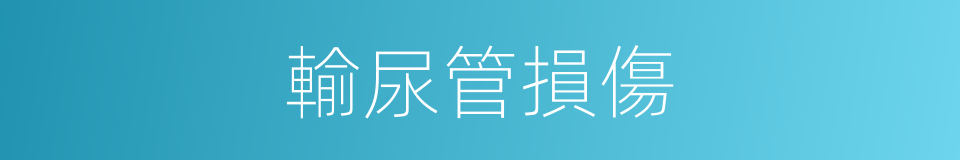 輸尿管損傷的同義詞
