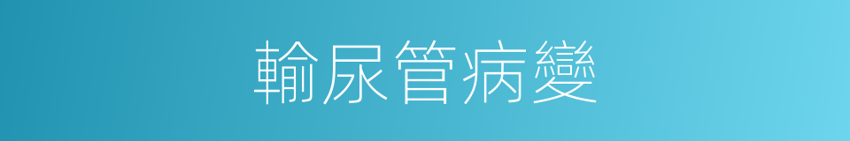 輸尿管病變的同義詞