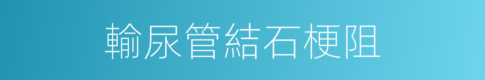 輸尿管結石梗阻的同義詞
