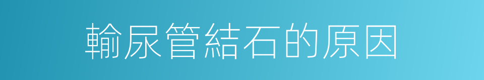 輸尿管結石的原因的同義詞