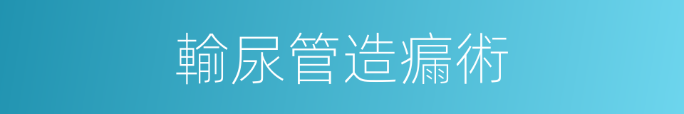 輸尿管造瘺術的同義詞