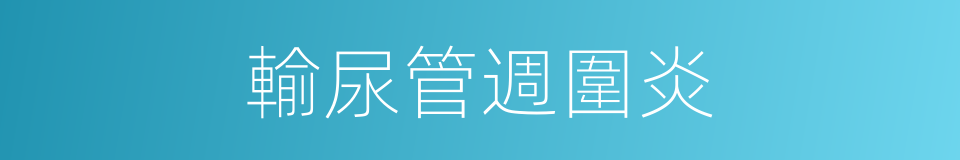 輸尿管週圍炎的同義詞