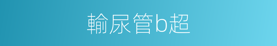 輸尿管b超的同義詞