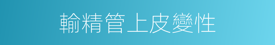 輸精管上皮變性的同義詞