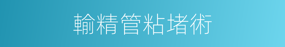 輸精管粘堵術的同義詞