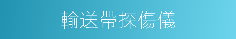 輸送帶探傷儀的同義詞