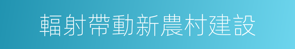 輻射帶動新農村建設的同義詞