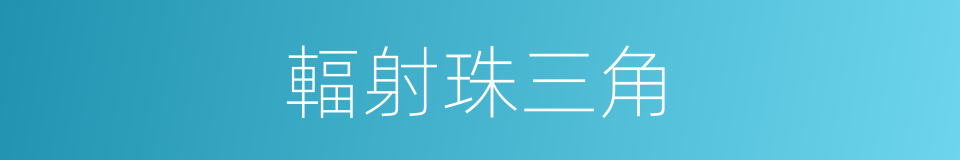 輻射珠三角的同義詞