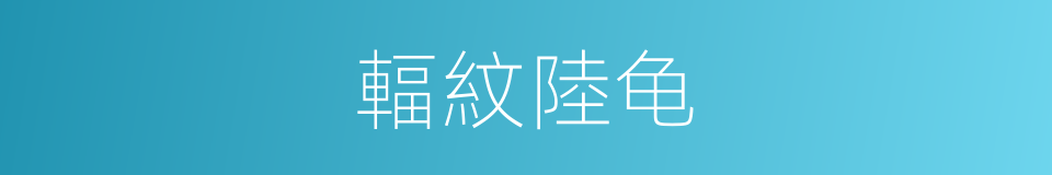 輻紋陸龟的同義詞