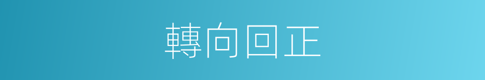轉向回正的同義詞