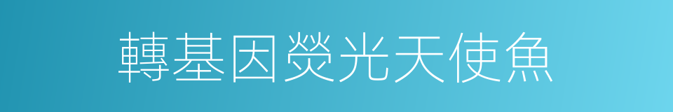轉基因熒光天使魚的同義詞