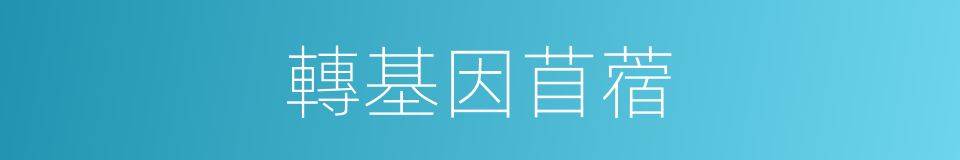 轉基因苜蓿的同義詞