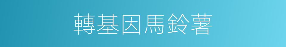 轉基因馬鈴薯的同義詞