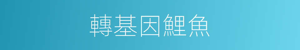 轉基因鯉魚的同義詞