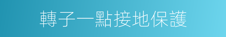 轉子一點接地保護的同義詞