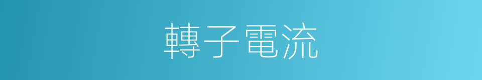 轉子電流的同義詞