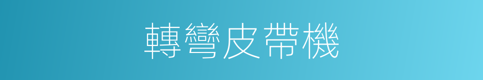 轉彎皮帶機的同義詞