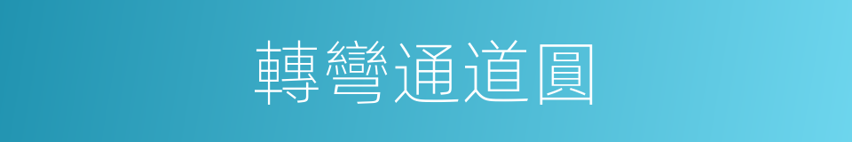 轉彎通道圓的同義詞