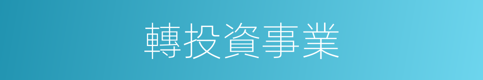 轉投資事業的同義詞