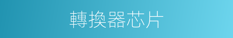 轉換器芯片的同義詞