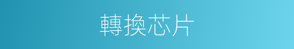 轉換芯片的同義詞