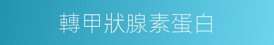轉甲狀腺素蛋白的同義詞