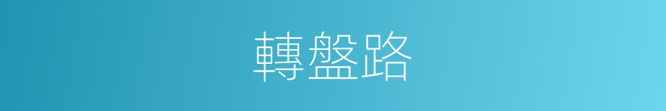 轉盤路的同義詞