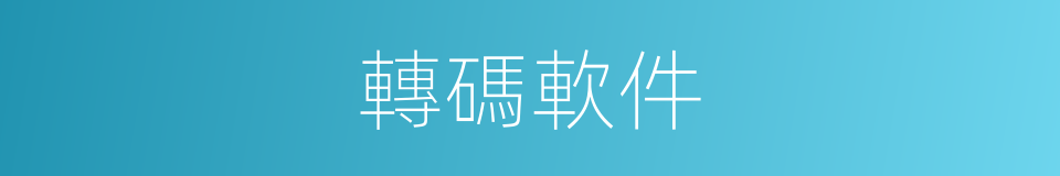 轉碼軟件的同義詞