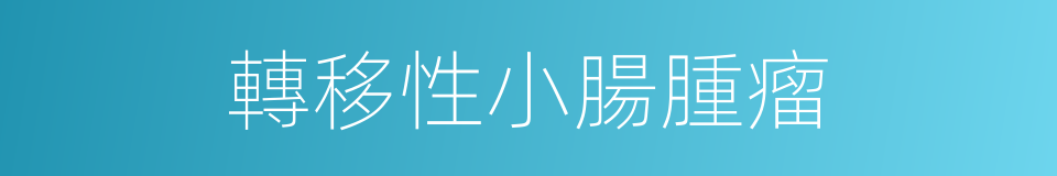 轉移性小腸腫瘤的同義詞