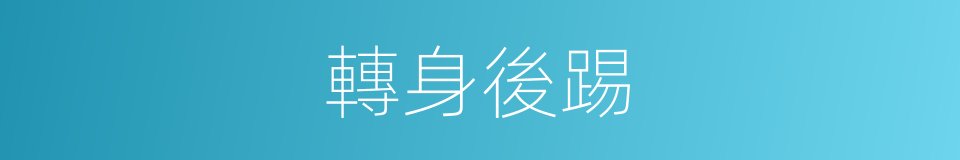 轉身後踢的同義詞