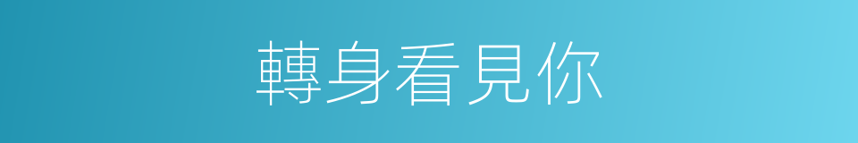 轉身看見你的同義詞