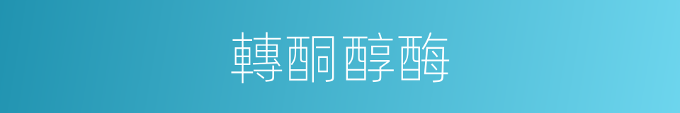 轉酮醇酶的同義詞