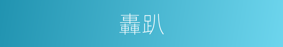 轟趴的意思