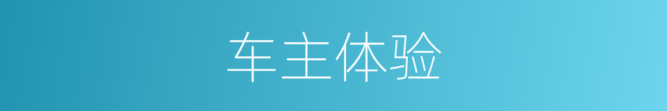 车主体验的同义词