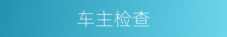 车主检查的同义词