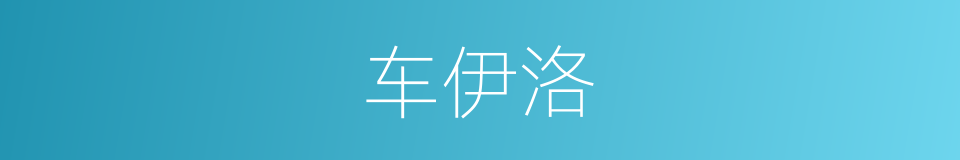 车伊洛的同义词
