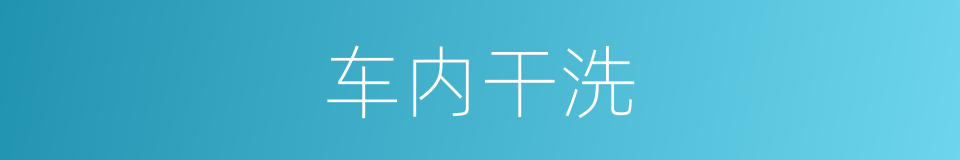 车内干洗的同义词