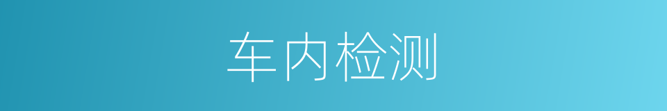 车内检测的同义词